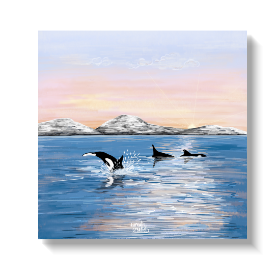 Whalesafari Arctic twilight with 3 Orca's (killerwhales) | Nordic art