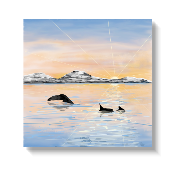 Whalesafari calm spring | Nordic art