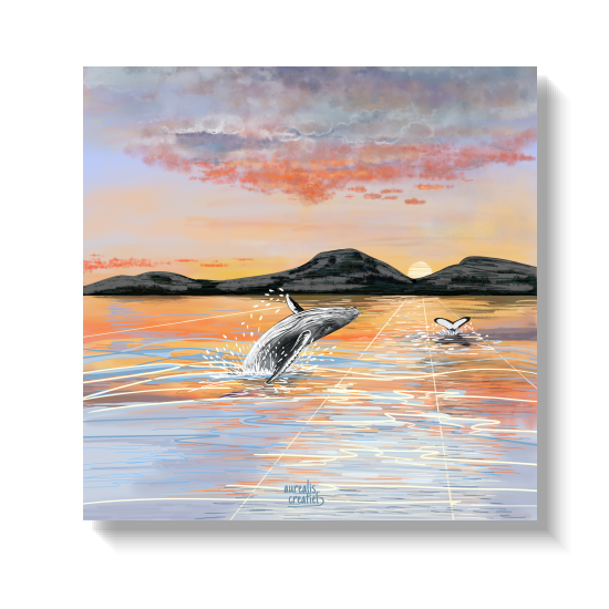 Whalesafari Midnight sun with a humpback whale | Nordic art