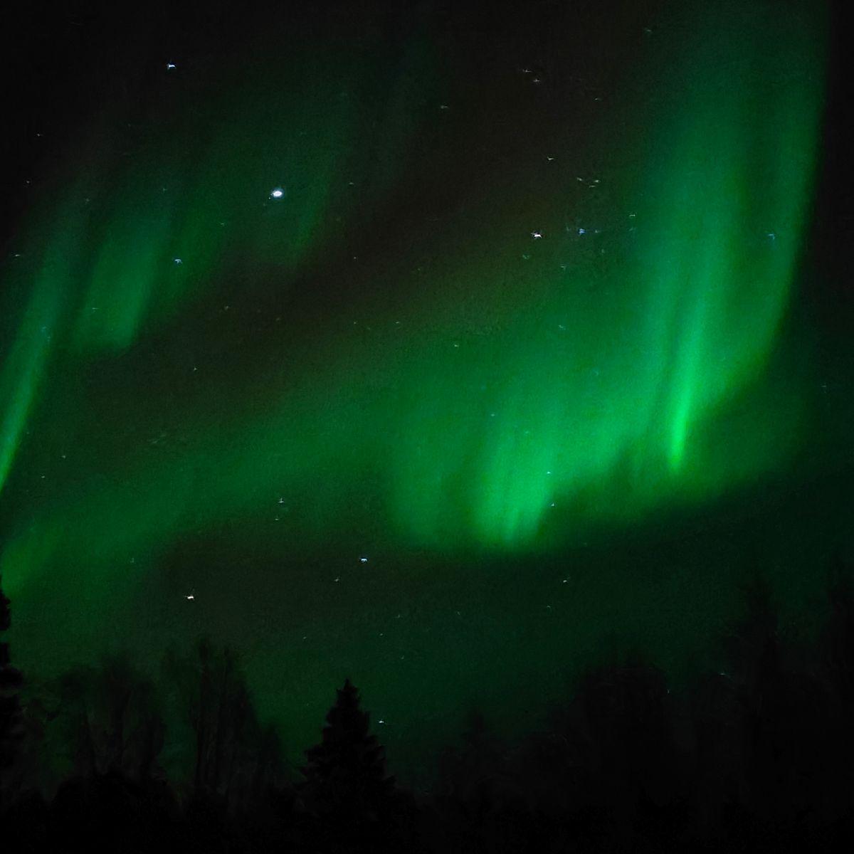 Green northern lights arcing across a black night sky over trees near a river in Finnish Lapland, before the first snow.