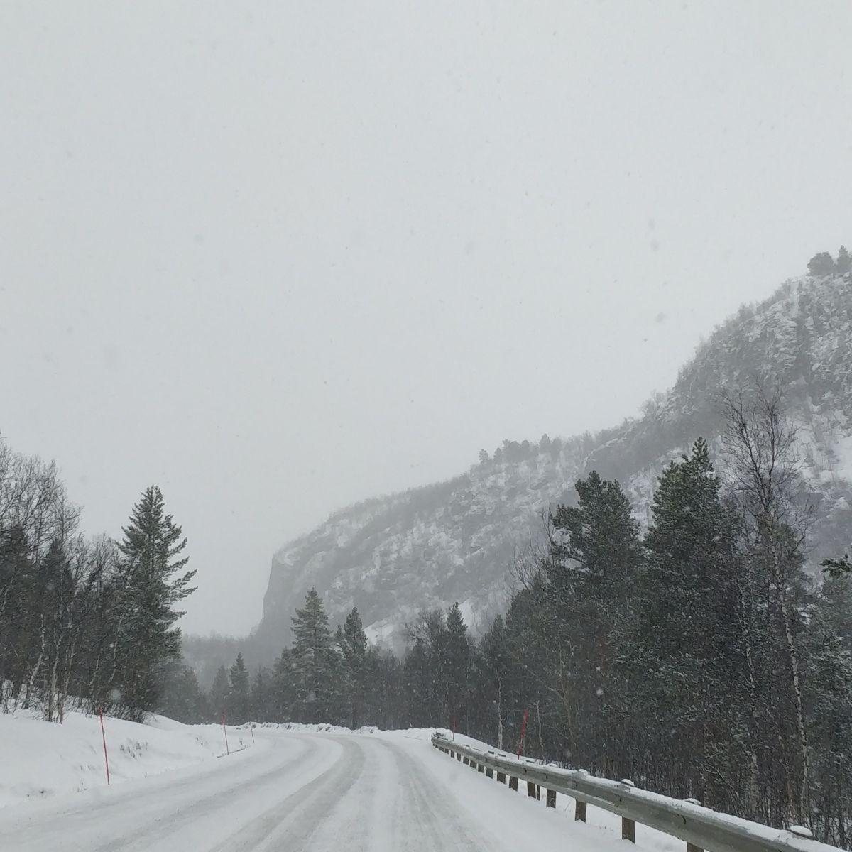 A snow-covered road winding through a Lapland mountain pass in falling snow, spruce and birch along the verge, a guardrail on the right.