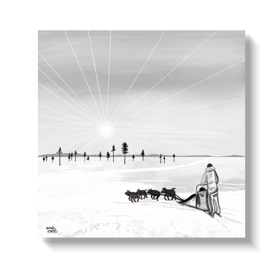 Hand-drawn illustration of a husky sled team crossing the snow in the low spring sun