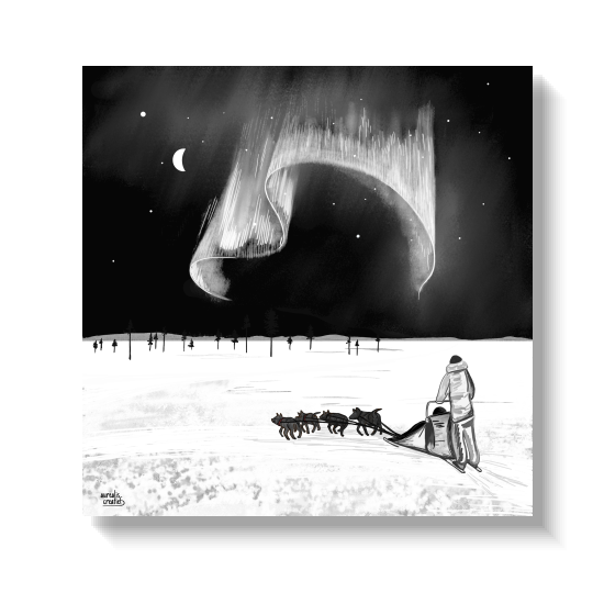 Hand-drawn illustration of a husky sled team beneath the northern lights and a crescent moon