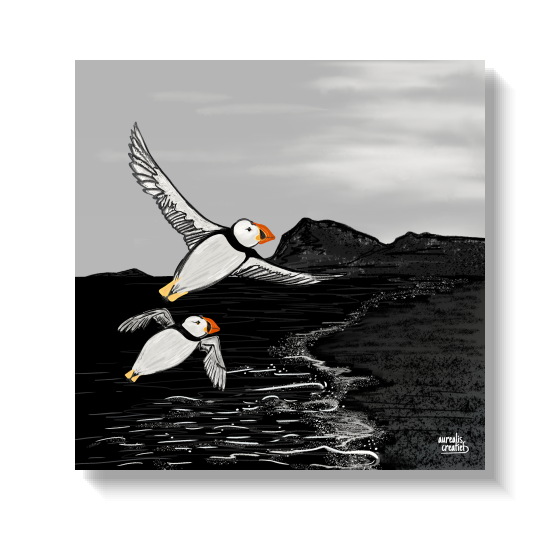 Puffins with bright orange beaks