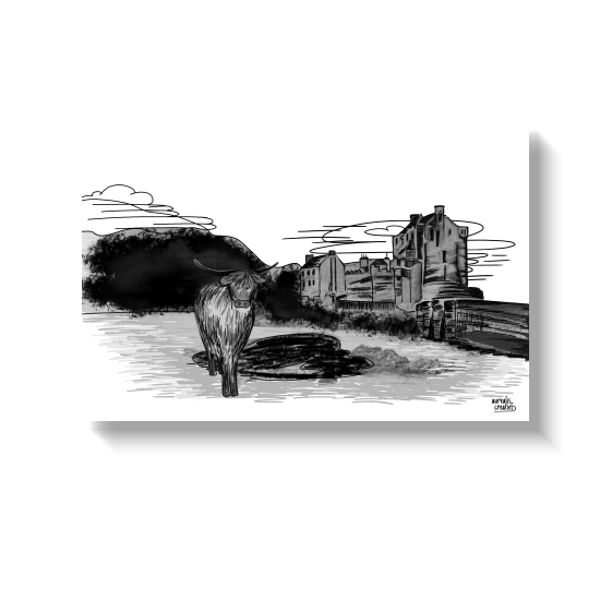 Hand-drawn illustration of a Highland cow standing in water before an old Scottish castle