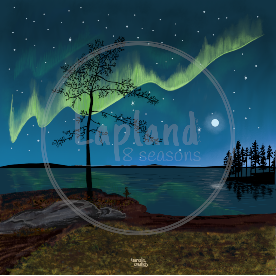 First Glimpse of the Northern Lights by Aurealis Creatief — a faint aurora above an island in late-summer Lapland