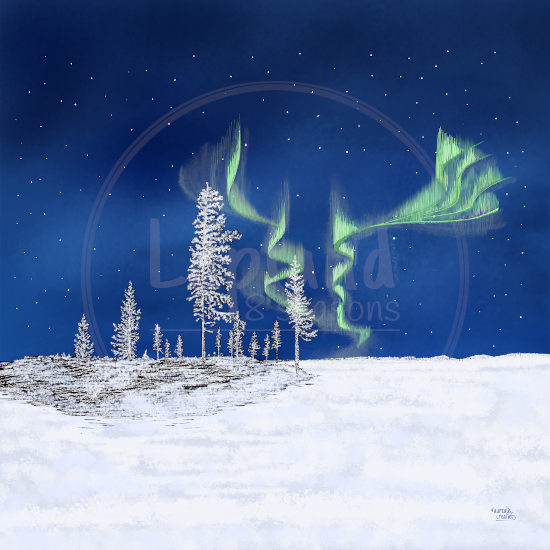 “Frozen Forest by Aurealis Creatief — frost-covered pines under the green northern lights in Finnish Lapland”