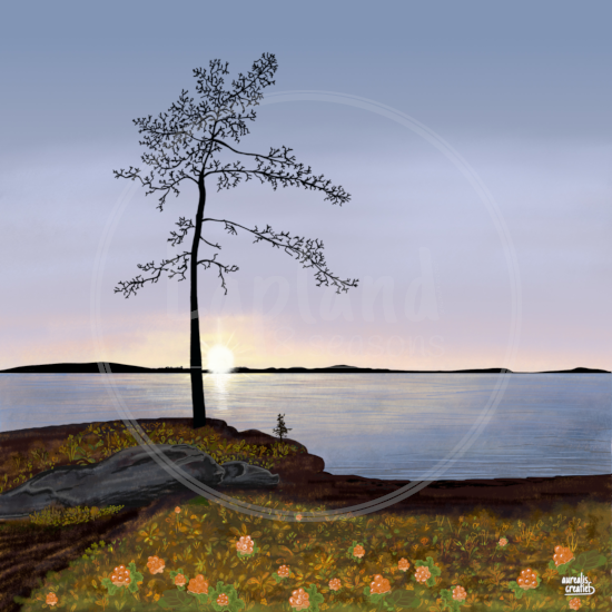 Golden hour by Aurealis Creatief — low autumn sun catching yellow berries by Lapland water