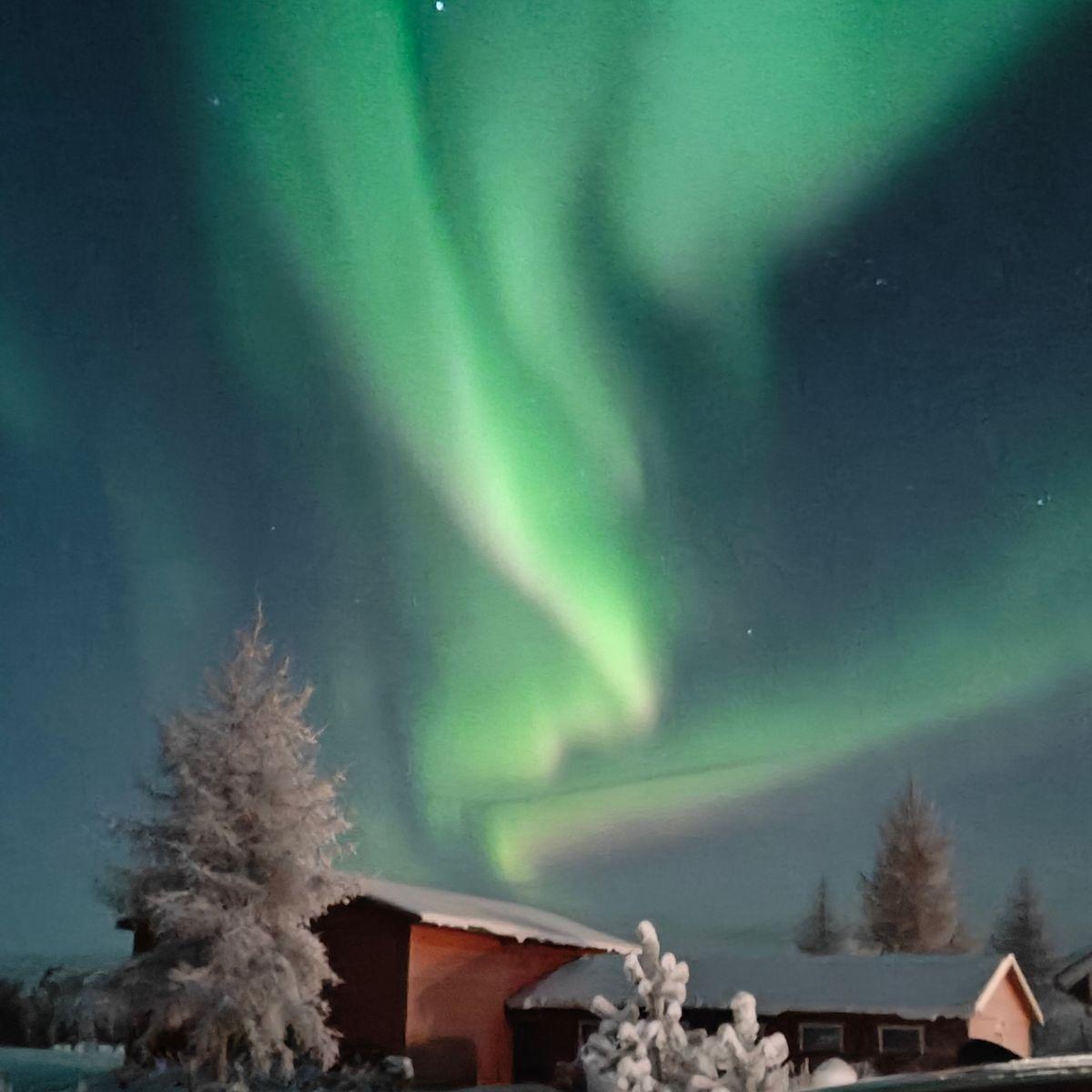 Green northern lights arcing over snow-covered trees and a red cabin in Finnish Lapland at night.