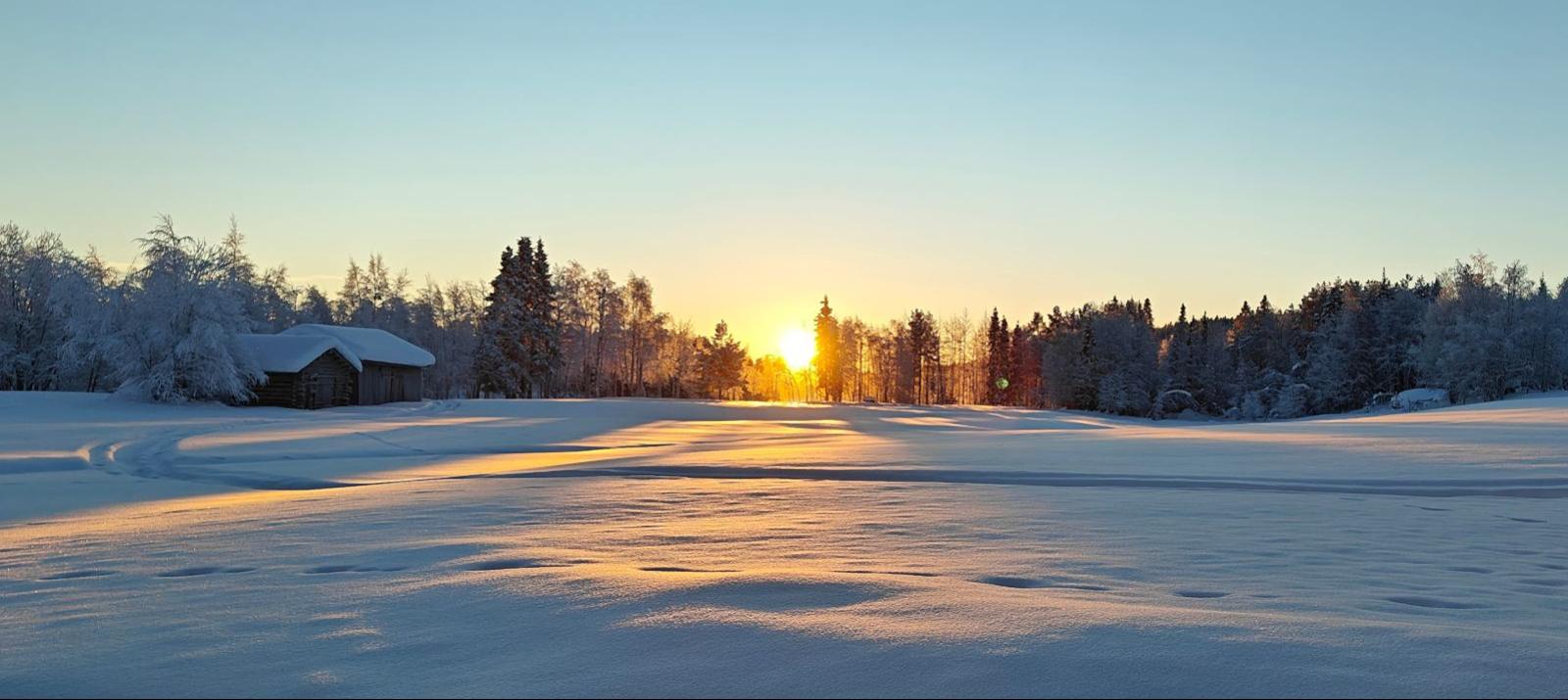 Low winter sun just above the horizon over a snow-covered landscape in Finnish Lapland on 20 January, the first sunrise visible after the polar night.
