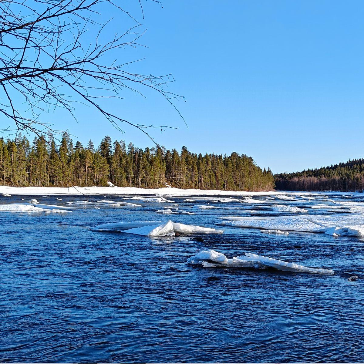 Ice floes on the Ounasjoki River in Finland