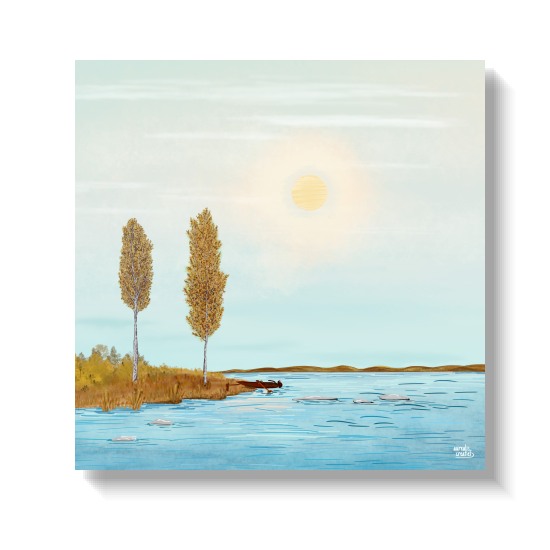 Illustration of northern birch trees in full autumn colour, red orange and yellow against a clear sky.