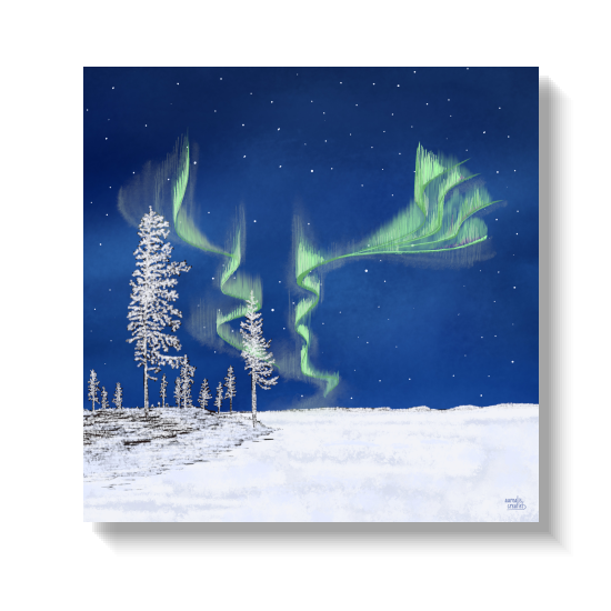 Frozen Forest - Lapland's First season by Aurealis Creatief