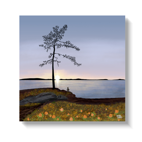 Aurealis Creatief's 'Golden Hour' — the low autumn sun captures yellow berries by the waters of Lapland