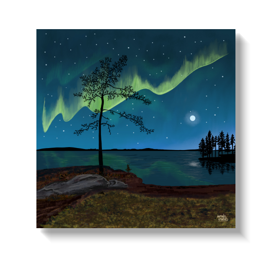 Illustration of a faint first aurora above a dusky horizon, with golden cloudberries in the foreground, marking the early harvest season.