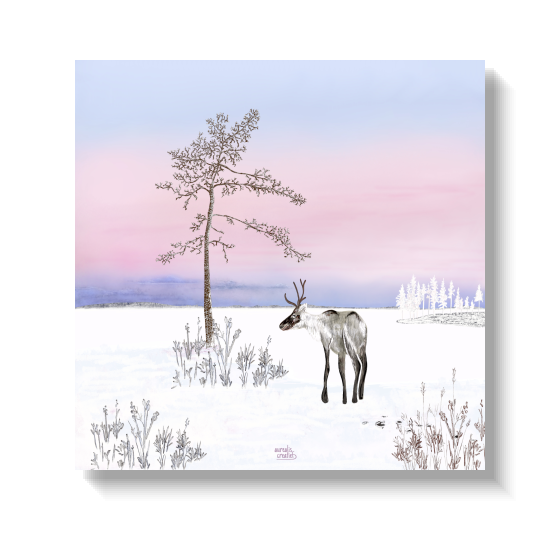 Pink Frosty Morning - Lapland's First season by Aurealis Creatief