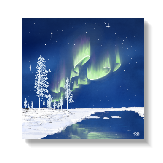 'Sub-Zero Winter' by Aurealis Creatief — Northern Lights over a frost-covered Lapland landscape at -30°C