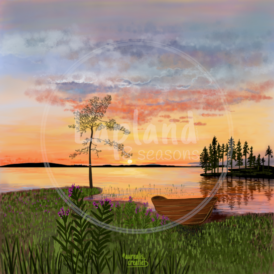 Aurealis Creatief’s Sleepless Night — a solitary tree, a boat and wild flowers beneath Lapland’s golden midnight sun