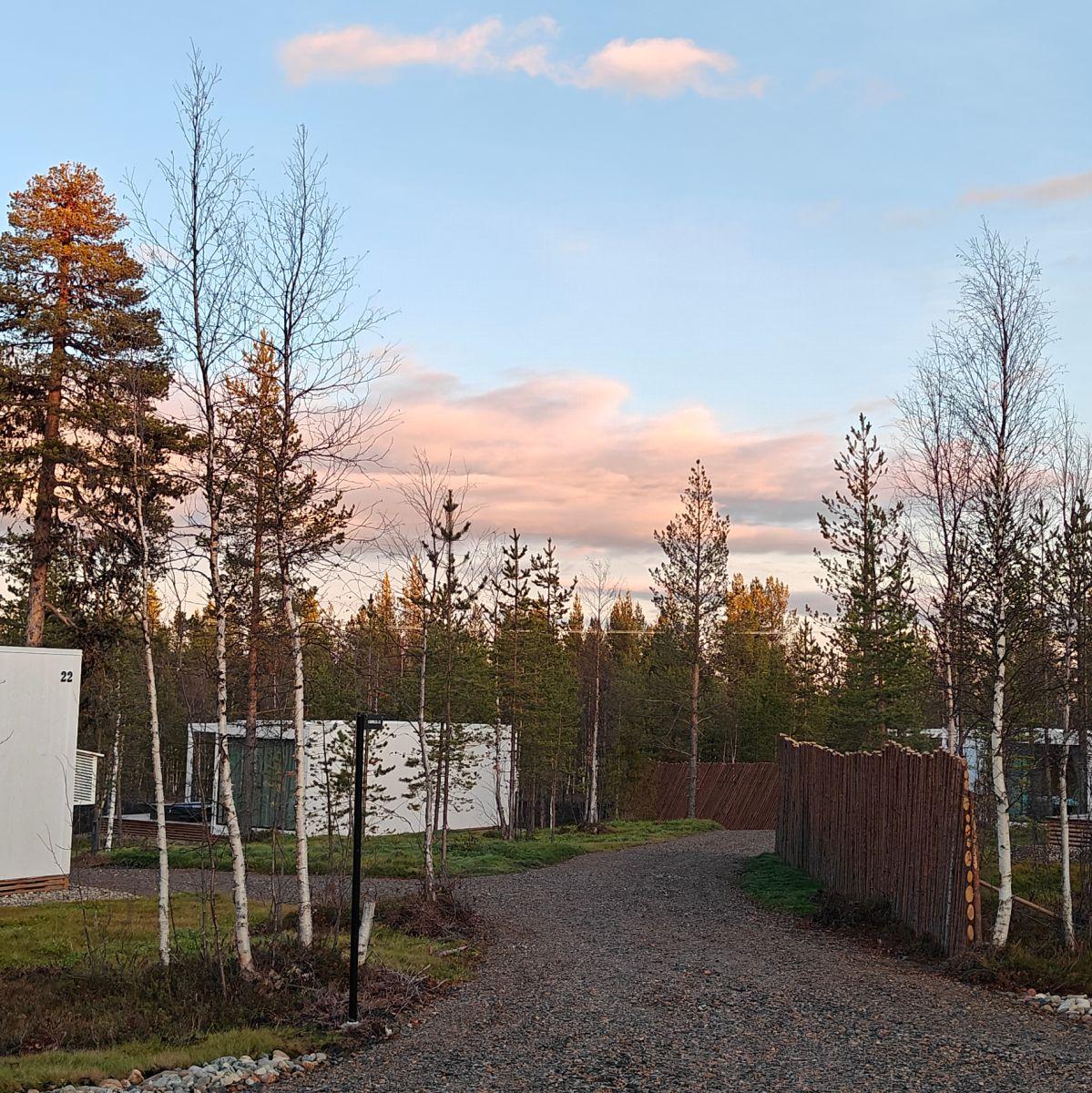 A gravel path leading into a northern forest at dusk, bare birches and green pines under a soft pink evening sky, white cabins among the trees.