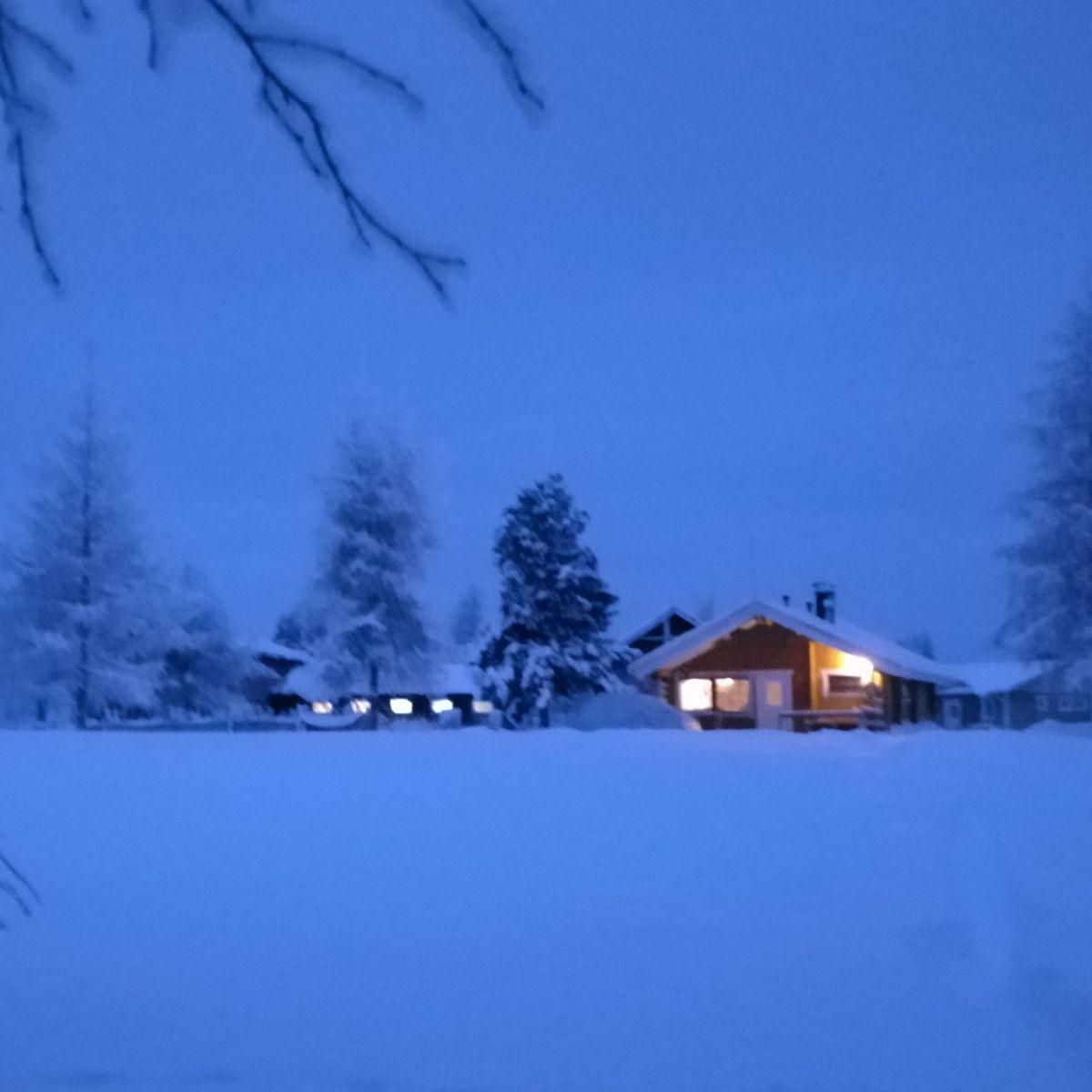 A cabin with a single warmly lit window glowing in the deep blue of a Lapland winter afternoon, snow-laden trees around it.
