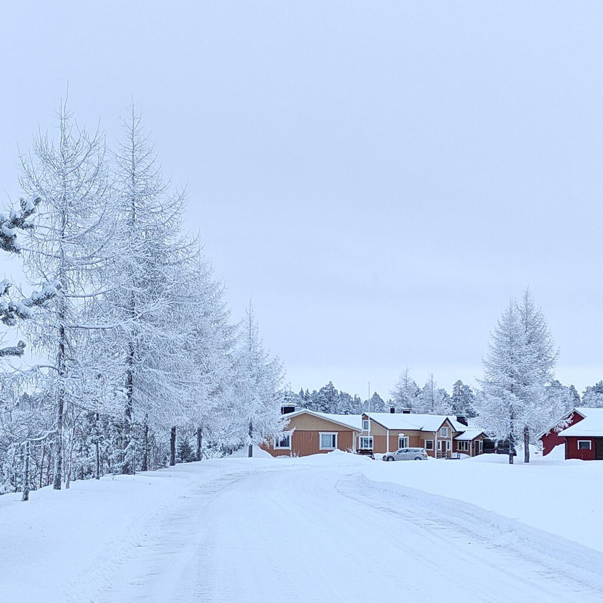 An overcast winter day in Finnish Lapland where snow reflects light upward, making the landscape and sky uniformly white rather than grey.