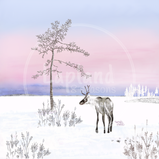 “Pink Fresh Morning in Lapland” by Aurealis Creatief — reindeer under a tree with a soft pink polar night sky