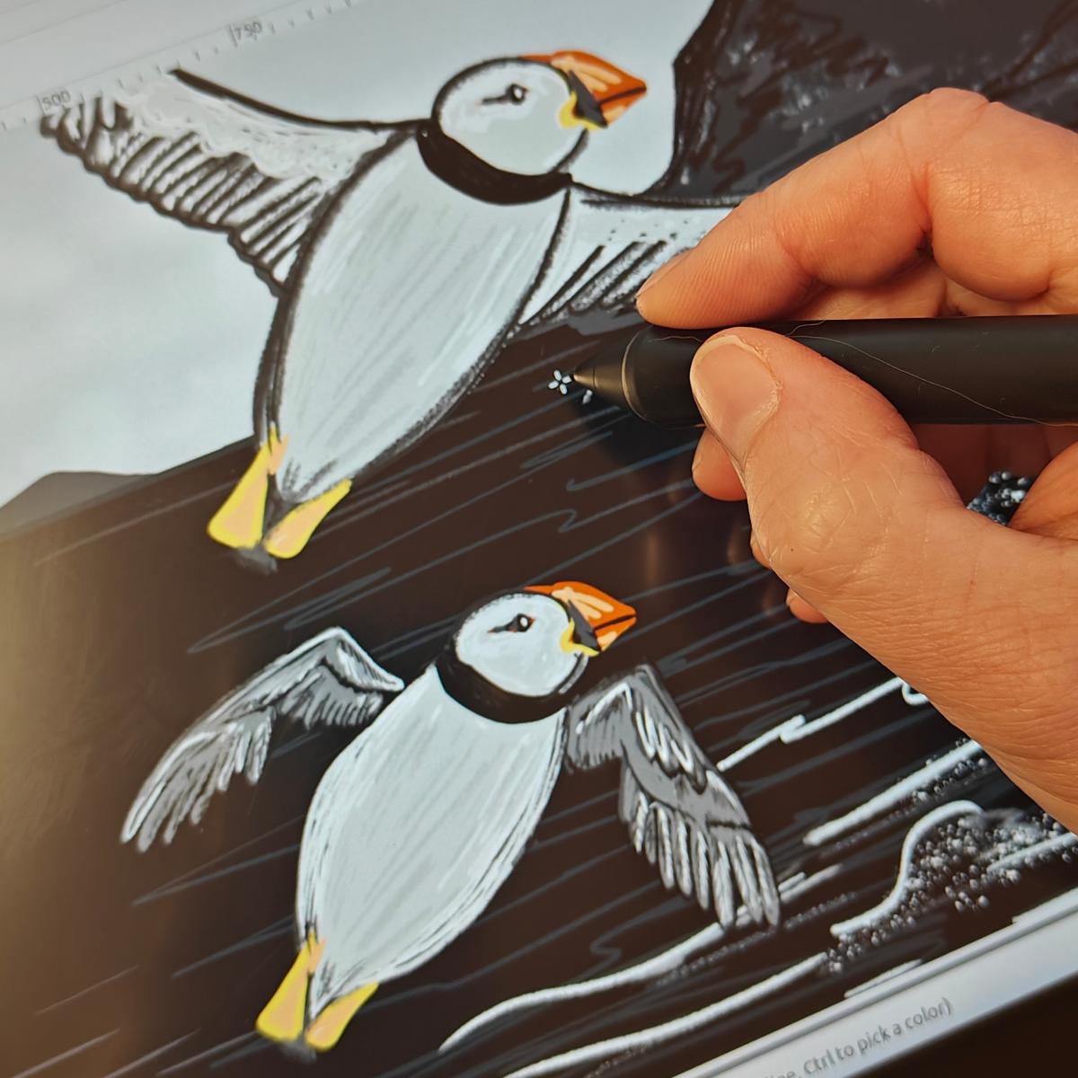 A close-up crop of black and white illustration: puffins with bright orange beaks