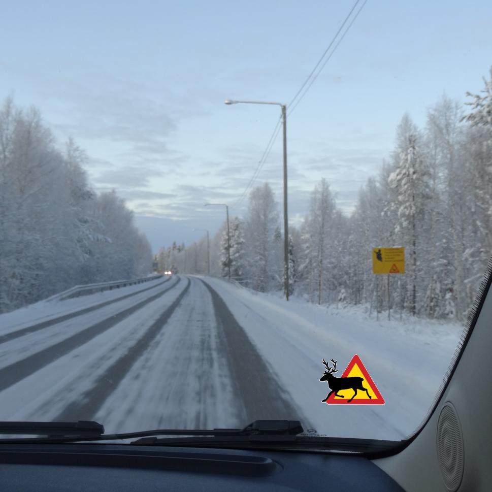 Verkeersbord met een gele rendierwaarschuwing naast een met sneeuw bedekte weg in Fins Lapland, gezien vanuit een auto. Aurealis Creatief.