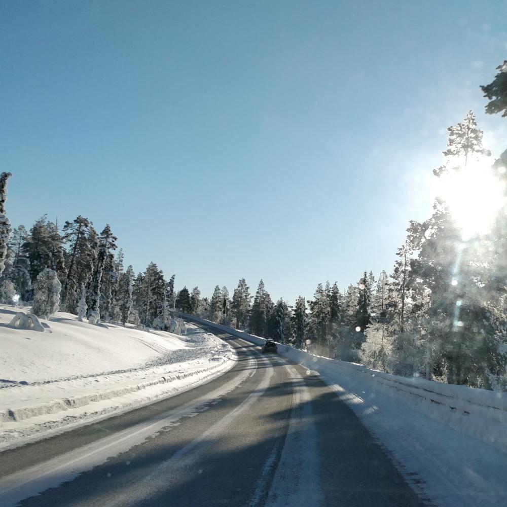 Low sun over a snow-covered road and forest in Lapland, the snow surface catching the light in bright crystals.
