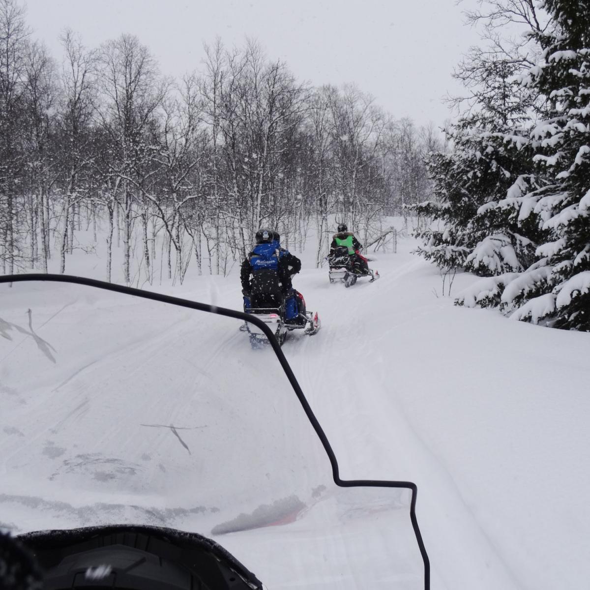 View from the back of a snowmobile following a line of riders through snowy pine forest in Malangen, Northern Norway. Aurealis Creatief.
