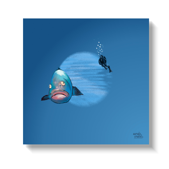 Blue reef fish with pink lips facing a small distant diver.