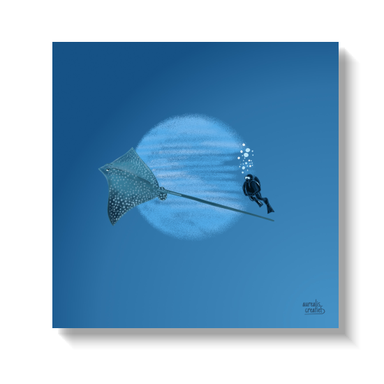 Spotted eagle ray gliding past a diver, wings spread wide.