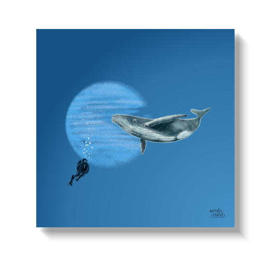 Humpback whale gliding past a diver who looks impossibly small.