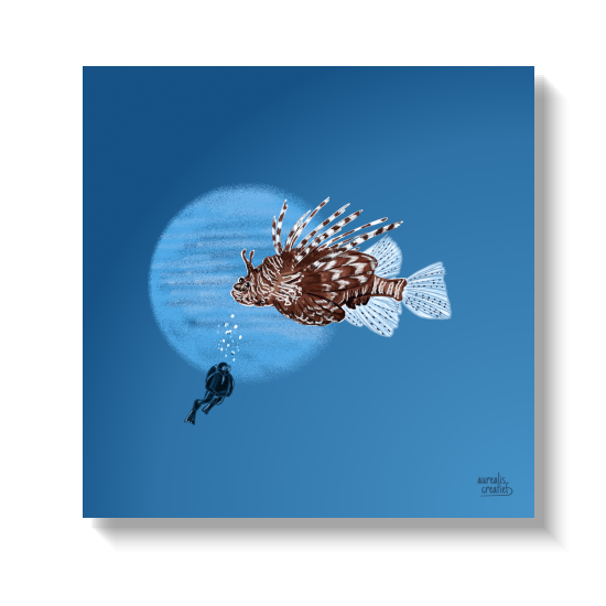 Lionfish spreading its striped spines while a small diver keeps distance.