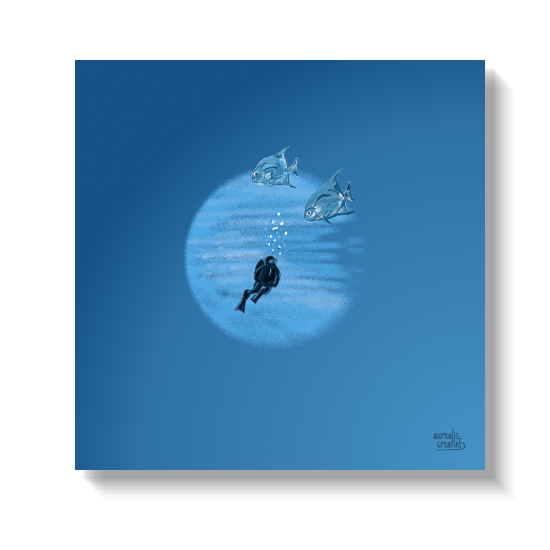 Two silvery fish approaching a small diver in a pool of light.