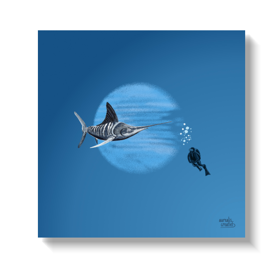 Striped marlin streaking past a diver, bill pointed into the current.
