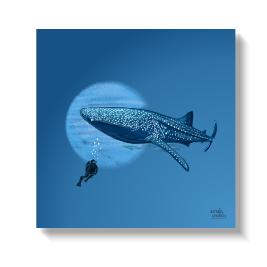 A spotted whale shark glides across deep blue water while a small diver in silhouette watches from below, bubbles rising.